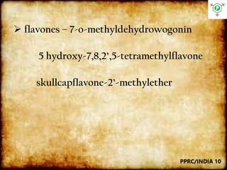  flavones – 7-o-methyldehydrowogonin
5 hydroxy-7,8,2’,5-tetramethylflavone
skullcapflavone-2’-methylether
PPRC/INDIA 10
 