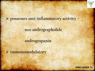  possesses anti-inflammatory activity –
neo andrographolide
andrograpanin
 immunomodulatory
PPRC/INDIA 13
 