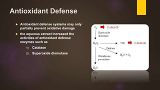 Antioxidant Defense
 Antioxidant defense systems may only
partially prevent oxidative damage
 the aqueous extract increased the
activities of antioxidant defense
enzymes such as
1) Catalase
2) Superoxide dismutase
 