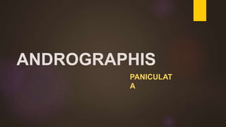 ANDROGRAPHIS
PANICULAT
A
 