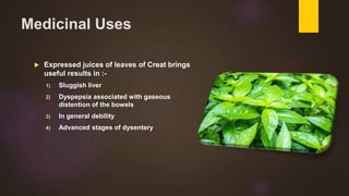 Medicinal Uses
 Expressed juices of leaves of Creat brings
useful results in :-
1) Sluggish liver
2) Dyspepsia associated with gaseous
distention of the bowels
3) In general debility
4) Advanced stages of dysentery
 