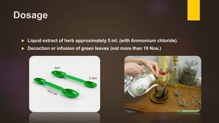 Dosage
 Liquid extract of herb approximately 5 ml. (with Ammonium chloride).
 Decoction or infusion of green leaves (not more than 10 Nos.)
 