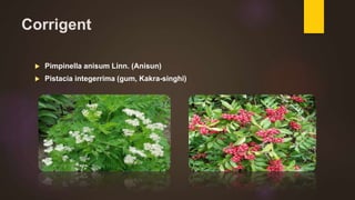 Corrigent
 Pimpinella anisum Linn. (Anisun)
 Pistacia integerrima (gum, Kakra-singhi)
 