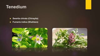 Tenedium
 Swertia chirata (Chirayita)
 Fumaria indica (Shahtara)
 