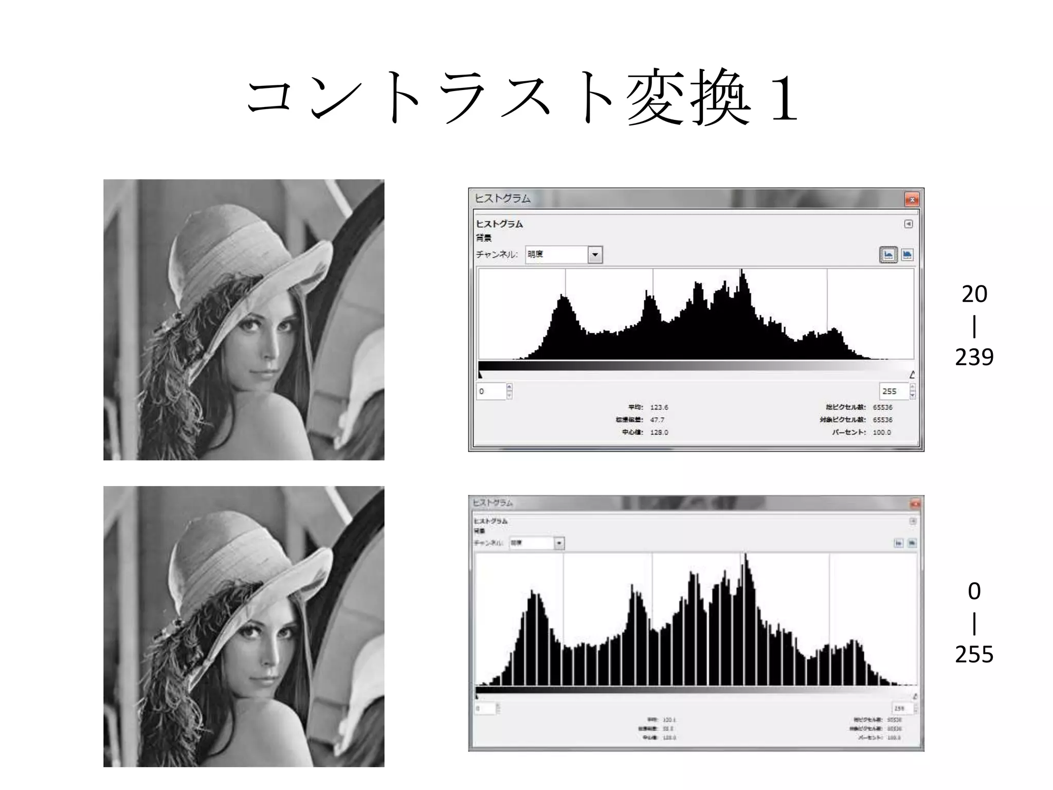 コントラスト変換１

             20
              |
            239




             0
             |
            255
 