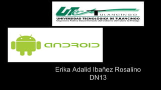 Erika Adalid Ibañez Rosalino 
DN13 
 