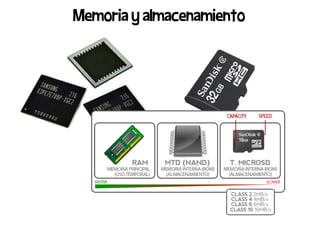 Memoria y almacenamiento
 