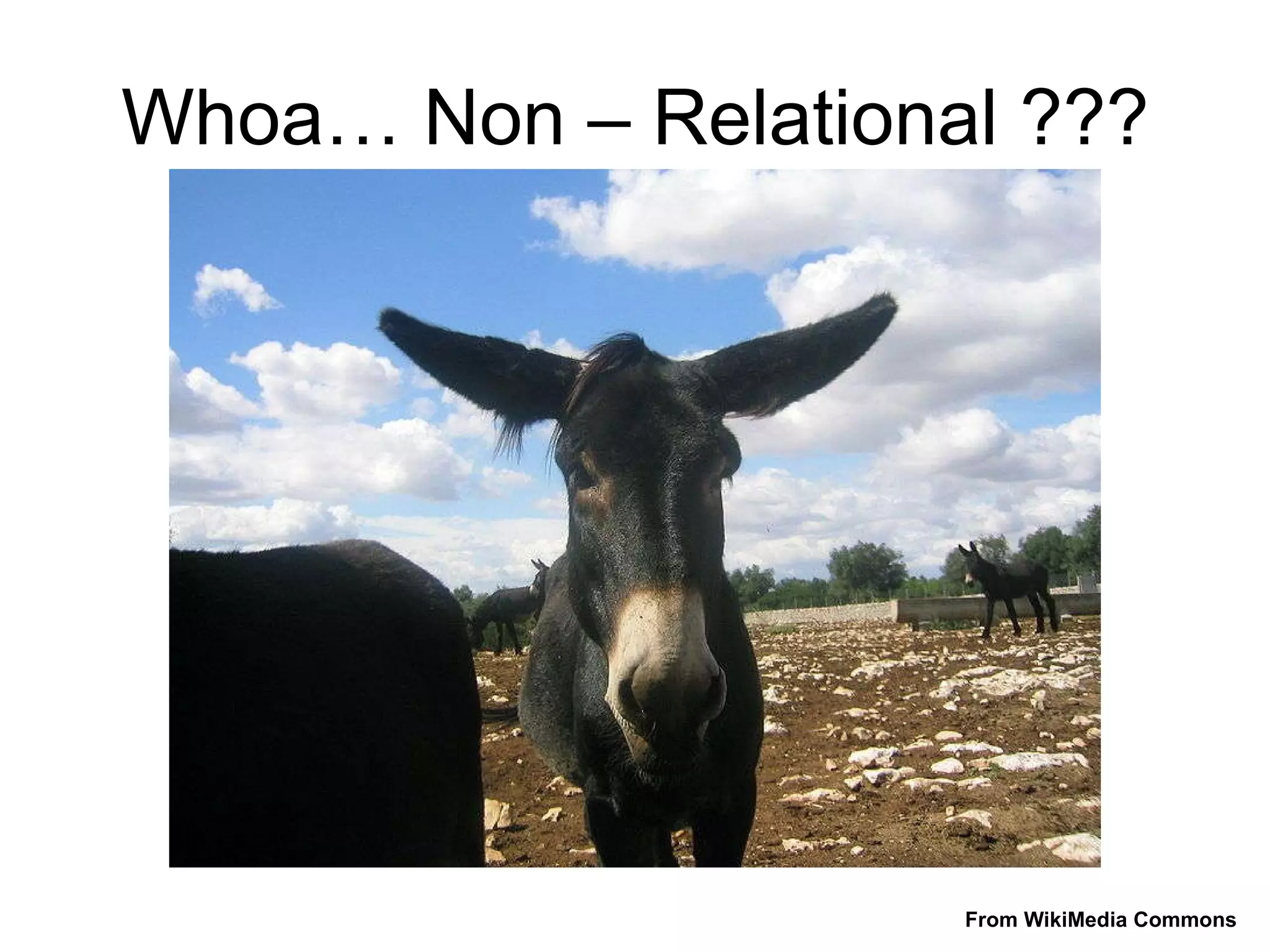Whoa… Non – Relational ??? From WikiMedia Commons 