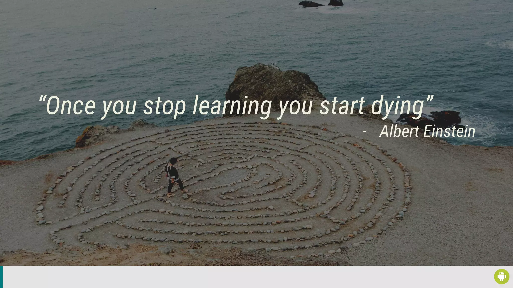 “Once you stop learning you start dying”
- Albert Einstein
 