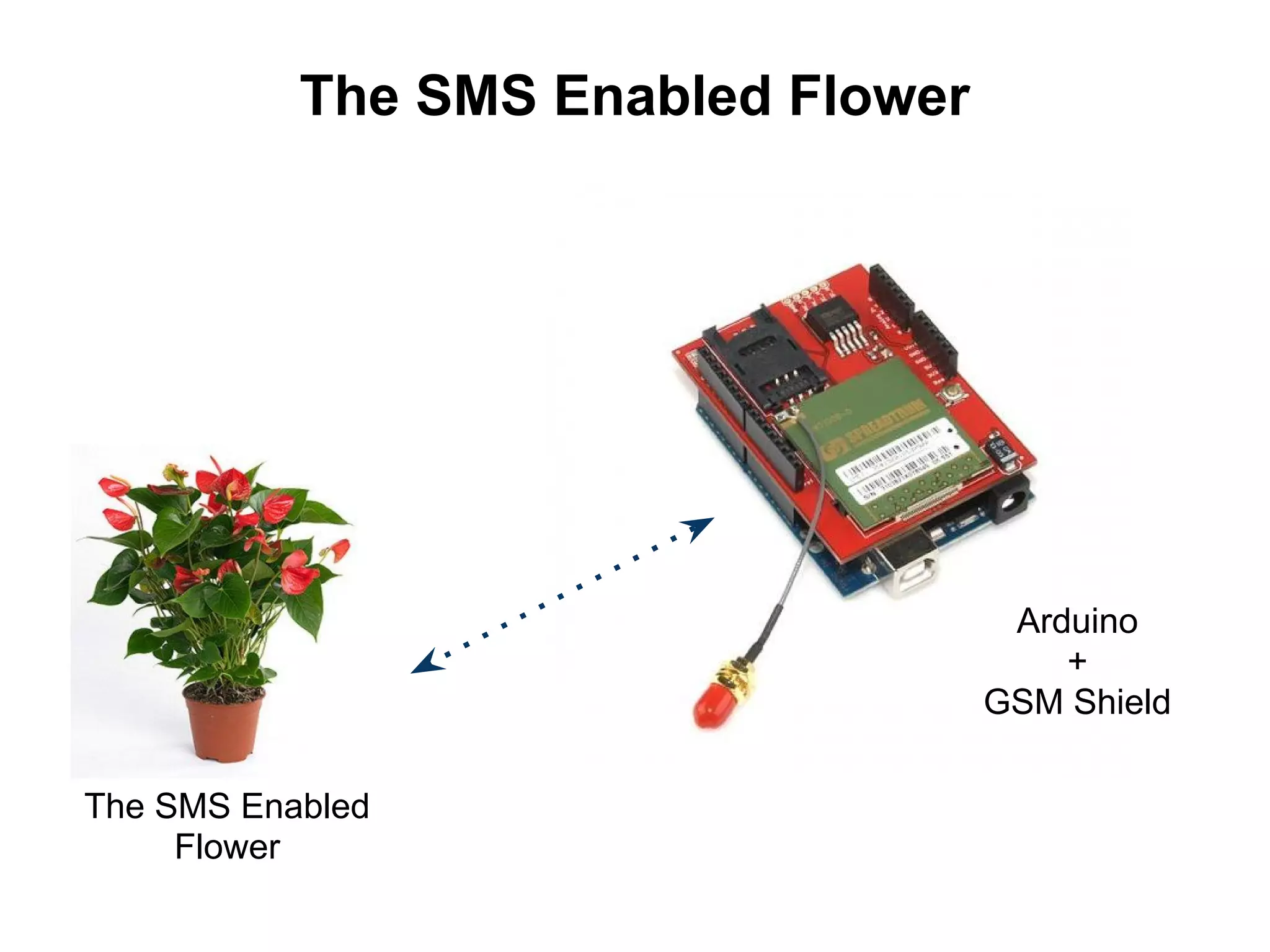 The SMS Enabled Flower Arduino + GSM Shield The SMS Enabled Flower 