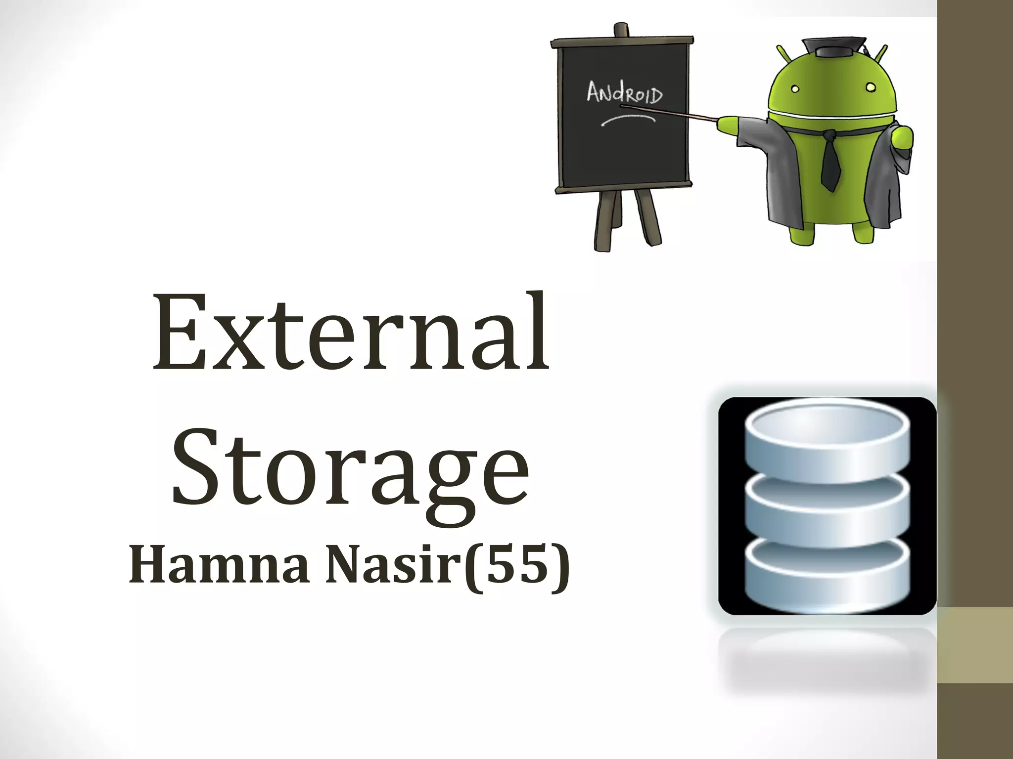 External Storage Hamna Nasir(55) 