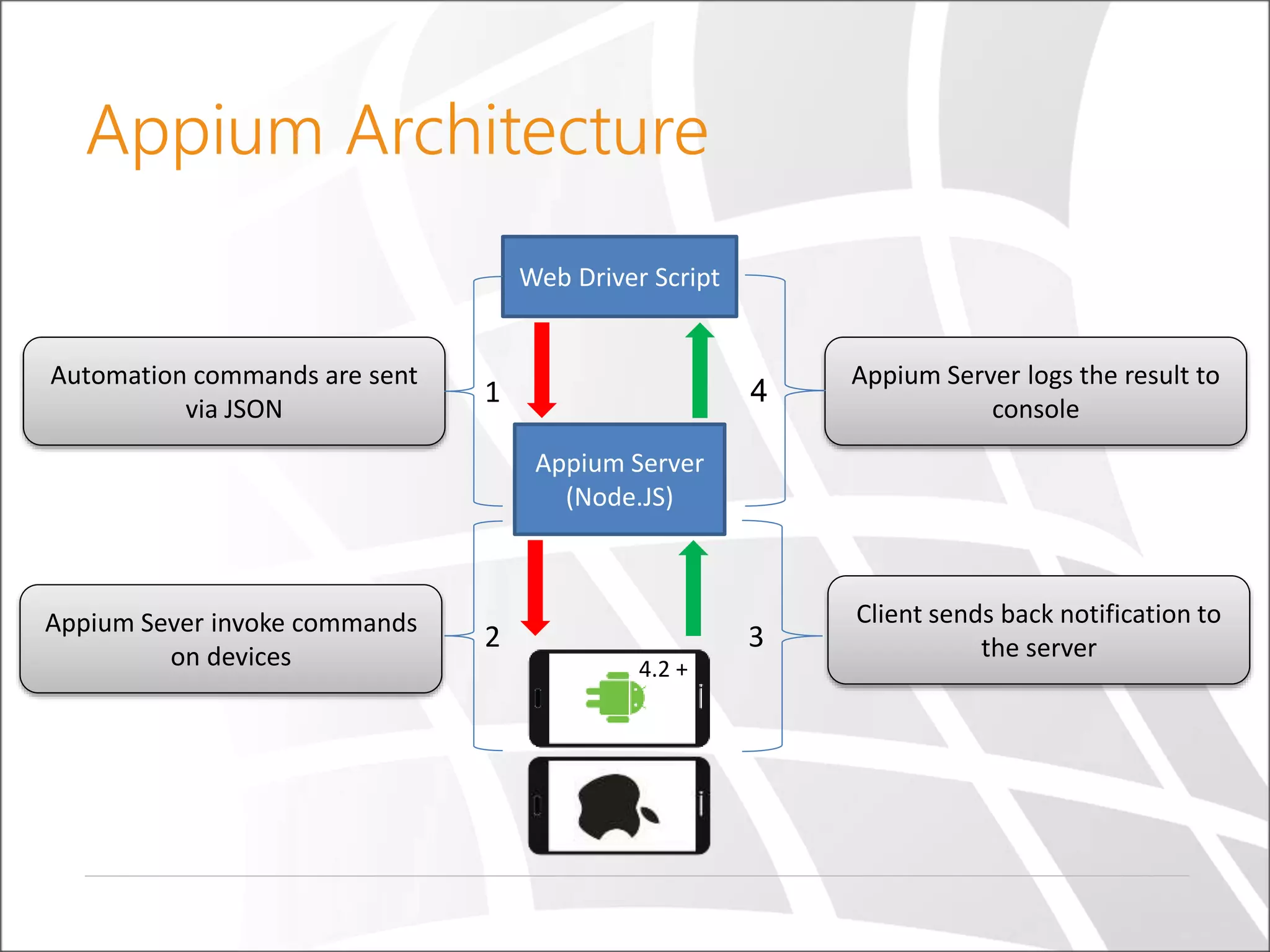 Appium Architecture
Web Driver Script
Appium Server
(Node.JS)
Automation commands are sent
via JSON
1
2Appium Sever invoke commands
on devices
3
Appium Server logs the result to
console
4
Client sends back notification to
the server
4.2 +
 