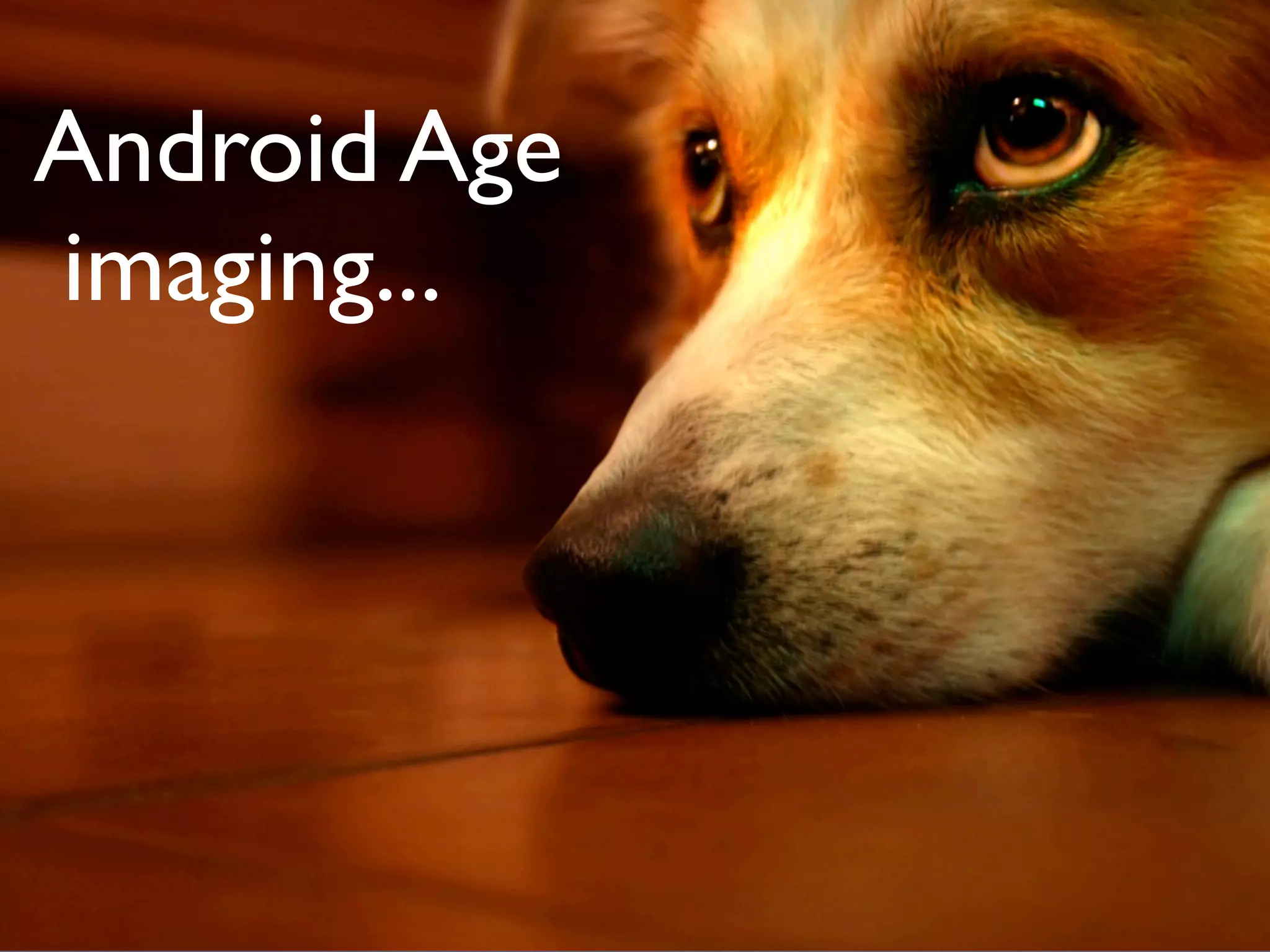 Android Age
imaging...
 