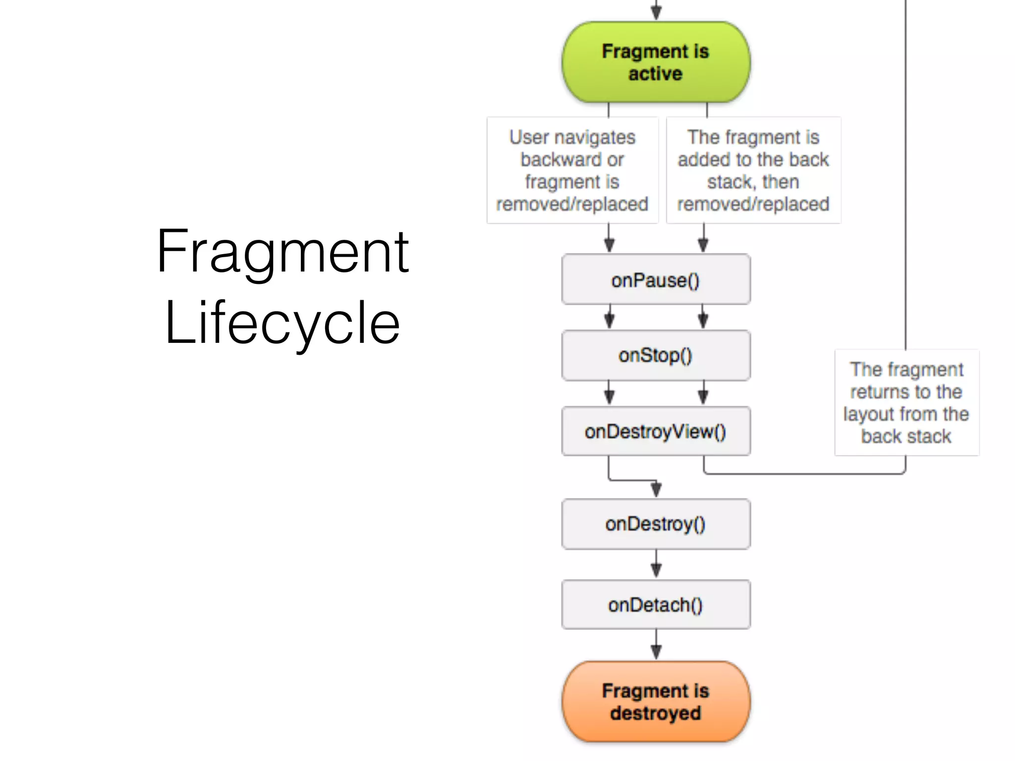 Fragment
Lifecycle
 