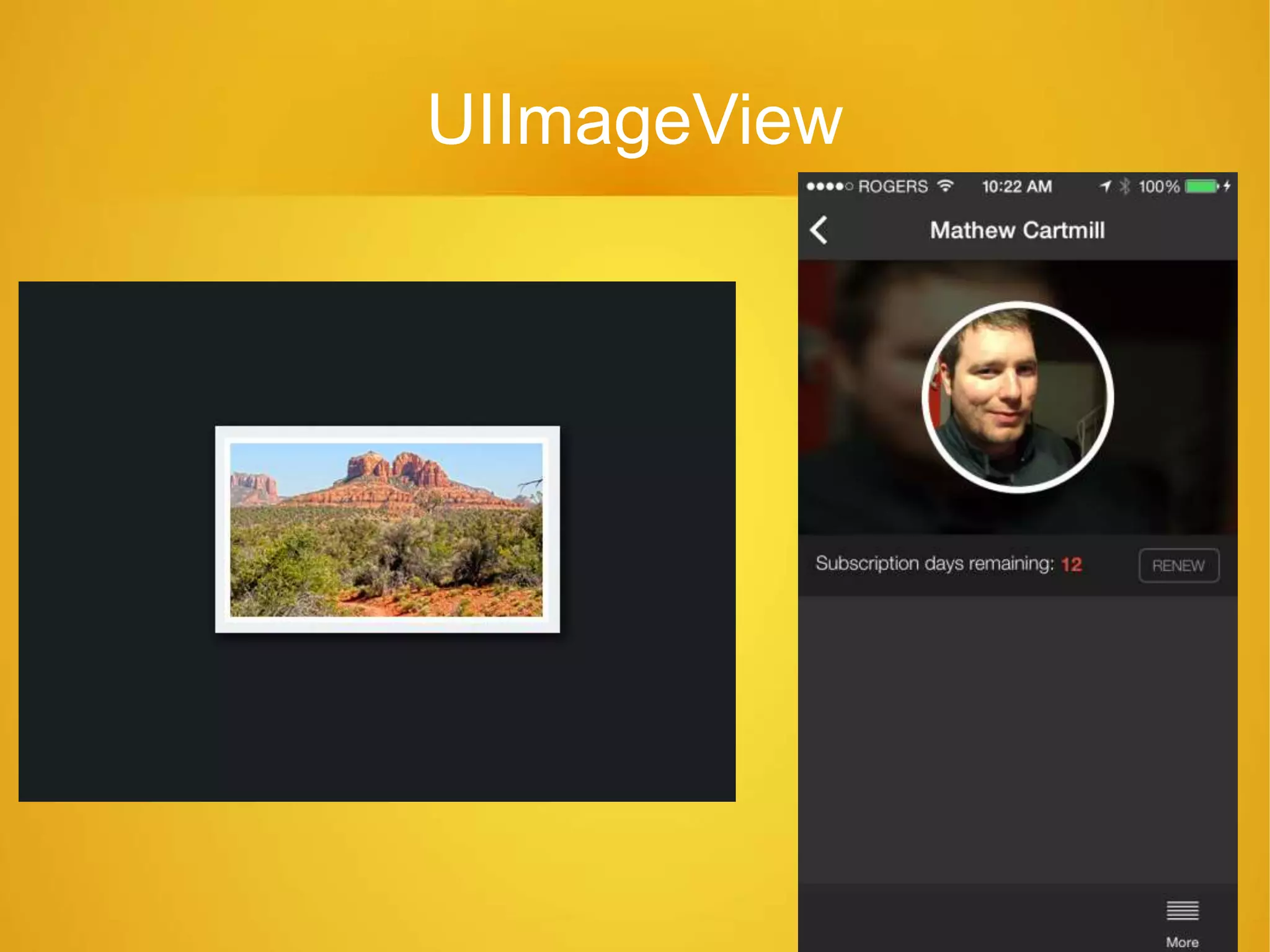 UIImageView
 