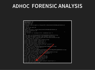  ADHOC  FORENSIC ANALYSIS 
 