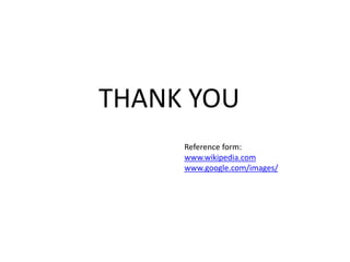 THANK YOU
Reference form:
www.wikipedia.com
www.google.com/images/
 