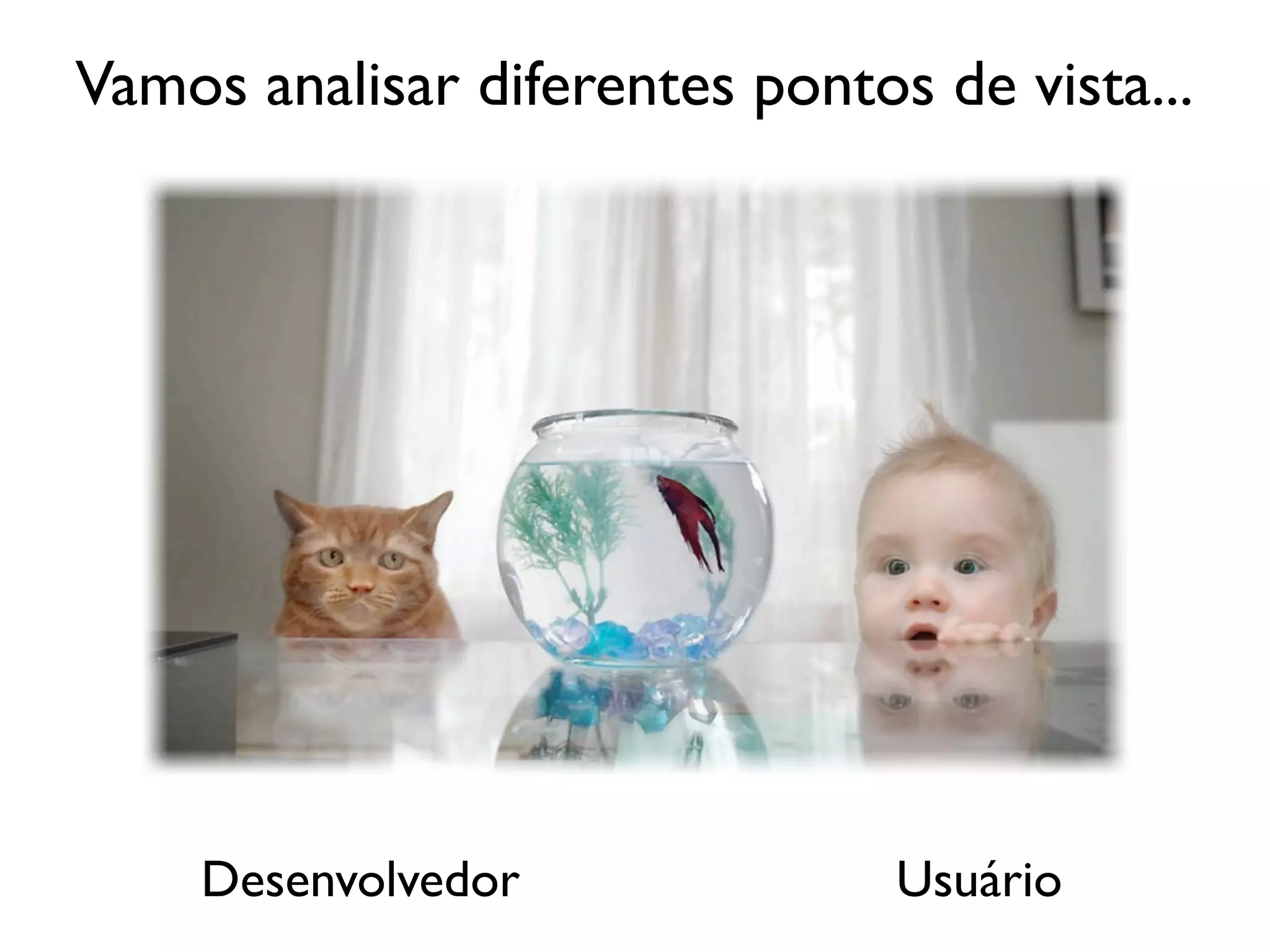 Vamos analisar diferentes pontos de vista...




    Desenvolvedor               Usuário
 