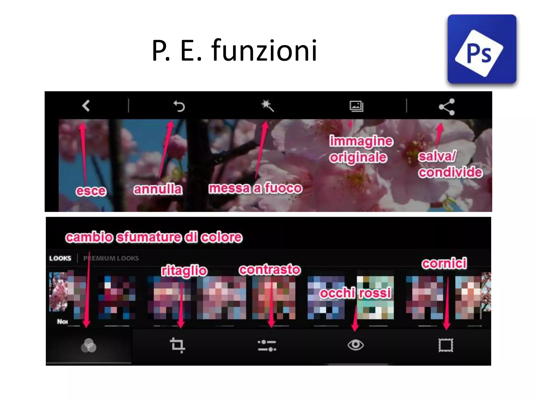 P. E. funzioni
 
