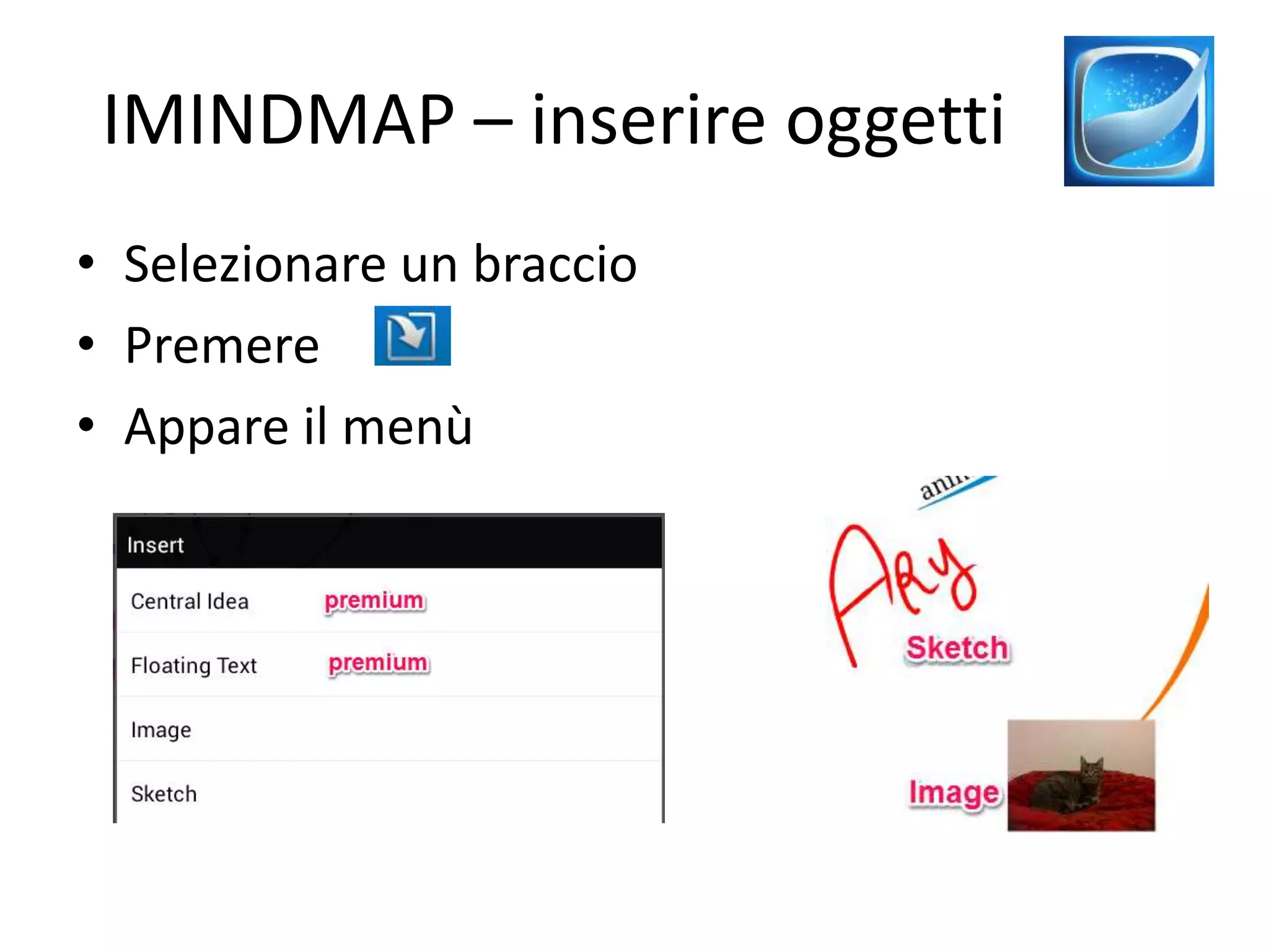 IMINDMAP – inserire oggetti
• Selezionare un braccio
• Premere
• Appare il menù
 