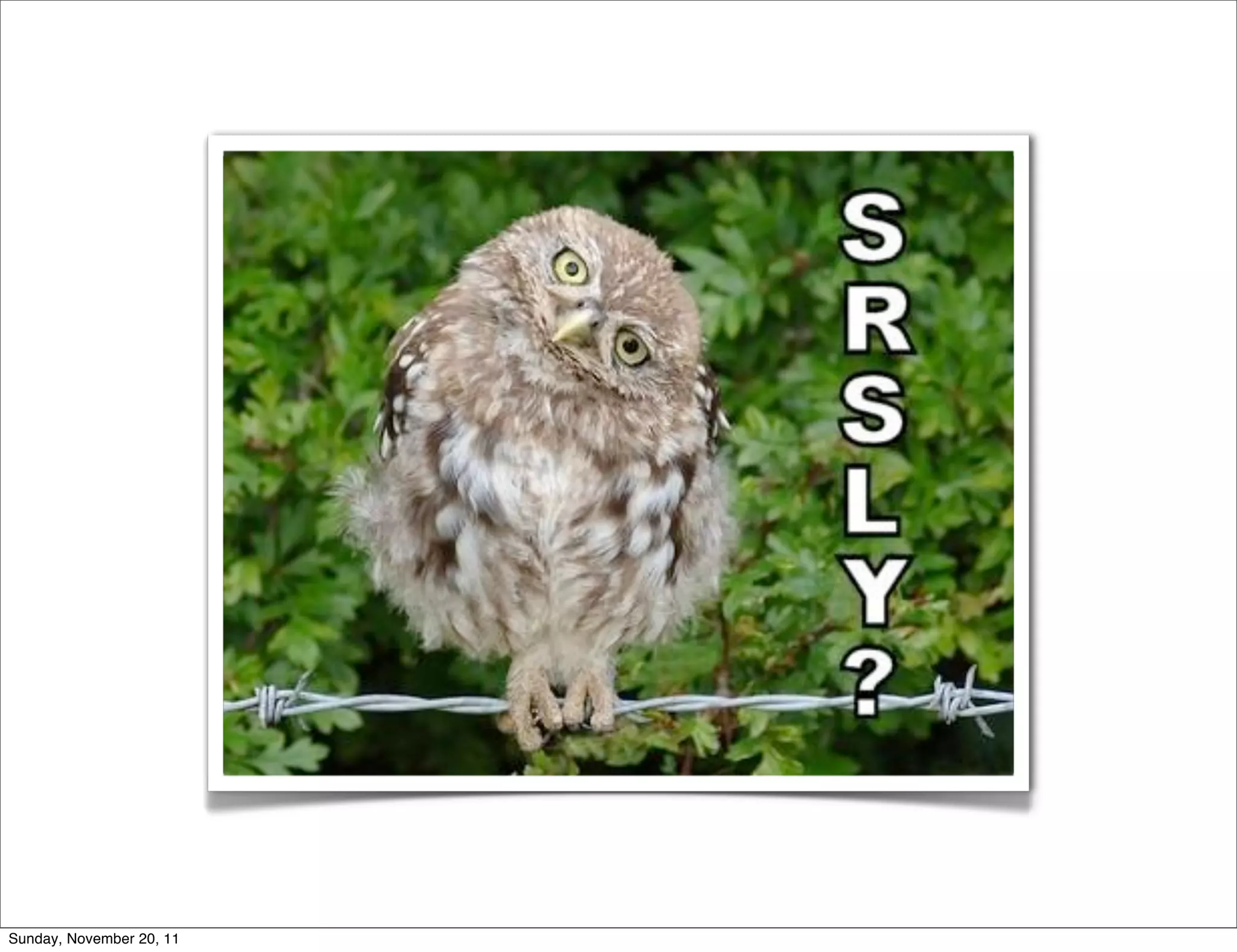 Sunday, November 20, 11
 