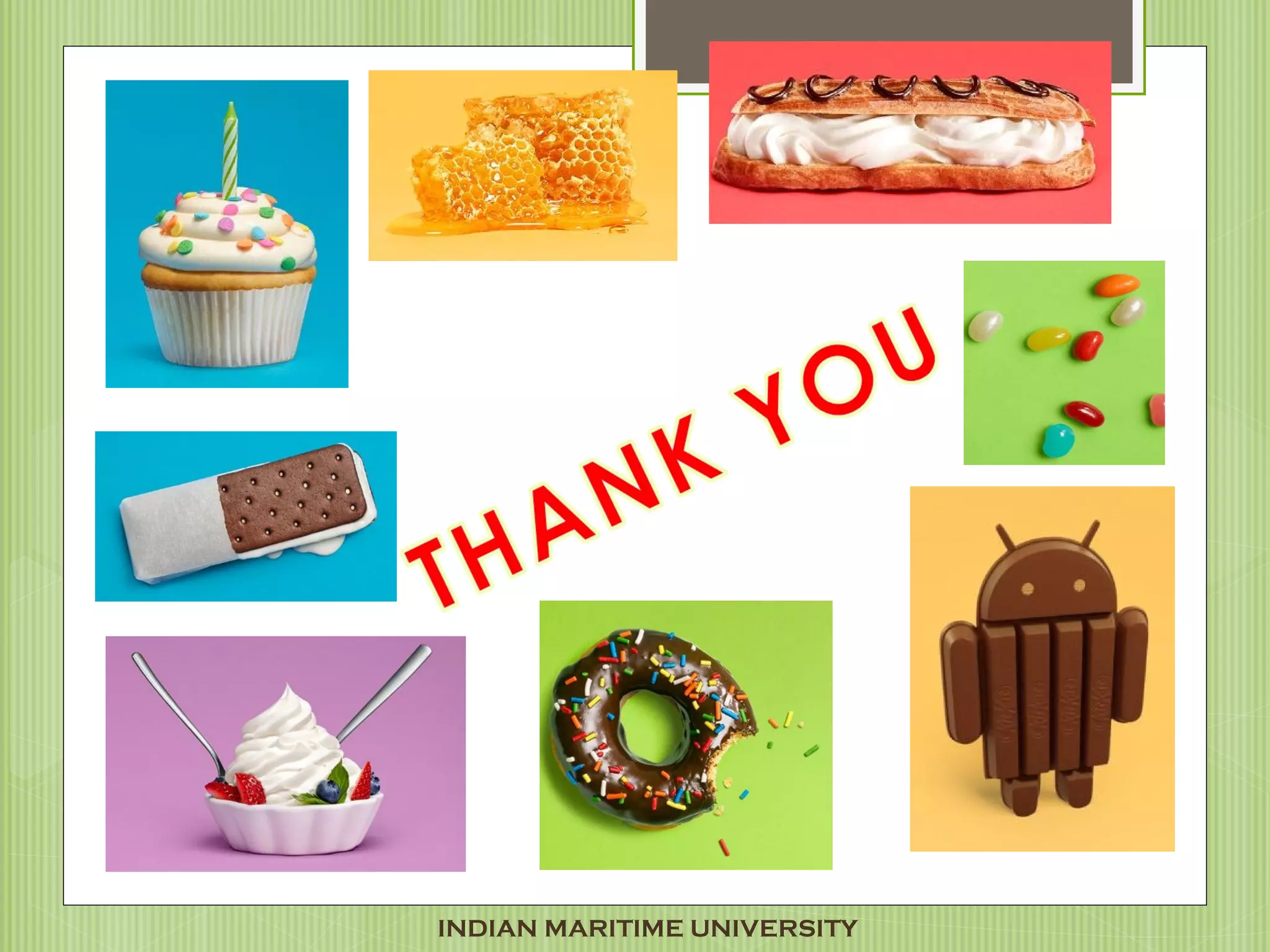 INDIAN MARITIME UNIVERSITY
 