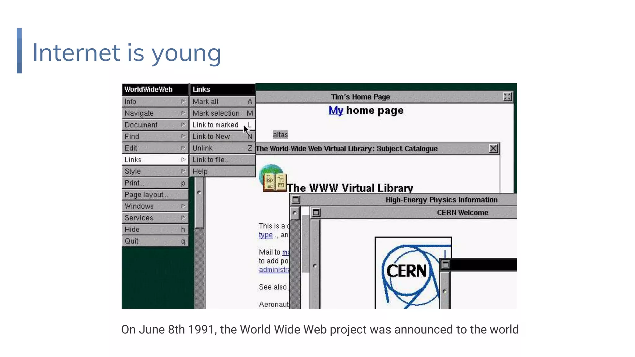 Internet is young
On June 8th 1991, the World Wide Web project was announced to the world
 