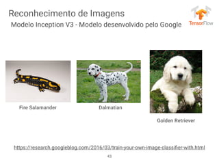 43
Reconhecimento de Imagens
Modelo Inception V3 - Modelo desenvolvido pelo Google
https://research.googleblog.com/2016/03/train-your-own-image-classiﬁer-with.html
Fire Salamander
Golden Retriever
Dalmatian
 