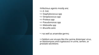 Comprehensive Guide to Diagnosing and Treating Prostatitis and ...
