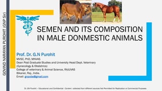 SEMEN AND ITS COMPOSITION
IN MALE DONMESTIC ANIMALS
Prof. Dr. G.N Purohit
MVSC, PhD, MNVAS
Dean Post Graduate Studies and University Head Dept. Veterinary
(Gynecology & Obstetrics)
College of veterinary & Animal Science, RAJUVAS
Bikaner, Raj., India.
Email: gnpobs@gmail.com
Dr. GN Purohit – Educational and Confidential - Content collected from different sources Not Permitted for Replication or Commercial Purposes
GOVIND
NARAYAN
PUROHIT
(GNP
Sir)
 
