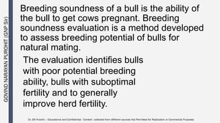 Andrology lecture 15 Breeding soundness evaluation of bulls | PDF
