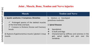 Joint , Muscle, Bone, Tendon and Nerve injuries
Muscle Tendon and Nerve
1. Spastic syndrome / Crampiness /Stretches
 Prolonged spasms of the skeletal muscles
of the hind limbs and back.
 Common in Holstein friesian and Guernsey
breeds
2. Rupture of gastrocnemius muscle / gluteal / croup
muscle.
1. Quittors or Interdigital
granuloma tendonitis
2. Spinal Diseases
 Spondylosis
 In bulls and dogs
 Characterized by stiffness and soreness in the
gait, spinal rigidity and pain over the
vertebrae.
GOVIND
NARAYAN
PUROHIT
(GNP
Sir)
 