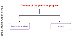 Diseases of the penis and prepuce
 z
Congenital / Hereditary Acquired
GOVIND
NARAYAN
PUROHIT
(GNP
Sir)
 