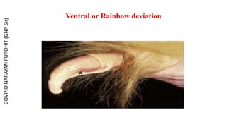 Ventral or Rainbow deviation
GOVIND
NARAYAN
PUROHIT
(GNP
Sir)
 