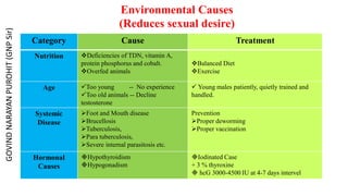 Environmental Causes
(Reduces sexual desire)
Category Cause Treatment
Nutrition Deficiencies of TDN, vitamin A,
protein phosphorus and cobalt.
Overfed animals
Balanced Diet
Exercise
Age Too young -- No experience
Too old animals -- Decline
testosterone
 Young males patiently, quietly trained and
handled.
Systemic
Disease
Foot and Mouth disease
Brucellosis
Tuberculosis,
Para tuberculosis,
Severe internal parasitosis etc.
Prevention
Proper deworming
Proper vaccination
Hormonal
Causes
Hypothyroidism
Hypogonadism
Iodinated Case
+ 3 % thyroxine
 hcG 3000-4500 IU at 4-7 days intervel
GOVIND
NARAYAN
PUROHIT
(GNP
Sir)
 