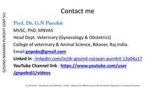 Contact me
Prof. Dr. G.N Purohit
MVSC, PhD, MNVAS
Head Dept. Veterinary (Gynecology & Obstetrics)
College of veterinary & Animal Science, Bikaner, Raj.India.
Email:gnpobs@gmail.com
Linked in : linkedin.com/in/dr-govind-narayan-purohit-13a04a17
YouTube Channel link : https://www.youtube.com/user
/gnpobs61/videos
GOVIND
NARAYAN
PUROHIT
(GNP
Sir)
Dr. GN Purohit – Educational and Confidential - Content collected from different sources Not Permitted for Replication or Commercial Purposes
 