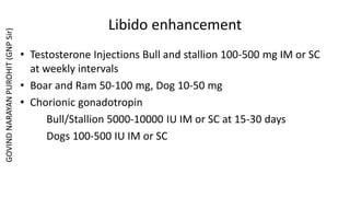 Libido enhancement
• Testosterone Injections Bull and stallion 100-500 mg IM or SC
at weekly intervals
• Boar and Ram 50-100 mg, Dog 10-50 mg
• Chorionic gonadotropin
Bull/Stallion 5000-10000 IU IM or SC at 15-30 days
Dogs 100-500 IU IM or SC
GOVIND
NARAYAN
PUROHIT
(GNP
Sir)
 