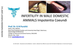 INFERTILITY IN MALE DOMESTIC
ANIMALS Impotentia Coeundi
Prof. Dr. G.N Purohit
MVSC, PhD, MNVAS
Dean Post Graduate Studies and University Head Dept. Veterinary
(Gynecology & Obstetrics)
College of veterinary & Animal Science, RAJUVAS
Bikaner, Raj., India.
Email: gnpobs@gmail.com
Dr. GN Purohit – Educational and Confidential - Content collected from different sources Not Permitted for Replication or Commercial Purposes
GOVIND
NARAYAN
PUROHIT
(GNP
Sir)
 