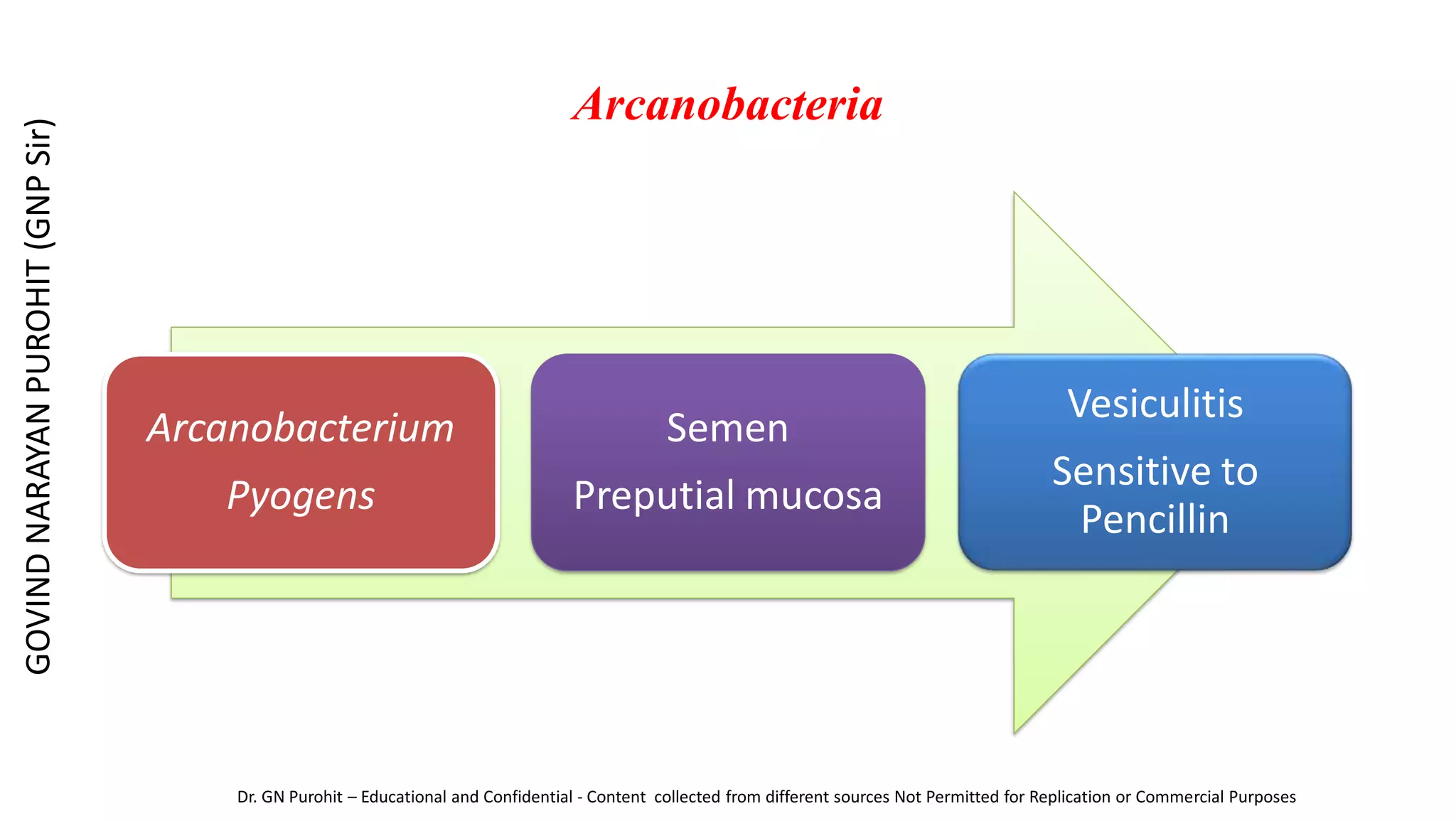 Arcanobacteria
Arcanobacterium
Pyogens
Semen
Preputial mucosa
Vesiculitis
Sensitive to
Pencillin
GOVIND
NARAYAN
PUROHIT
(GNP
Sir)
Dr. GN Purohit – Educational and Confidential - Content collected from different sources Not Permitted for Replication or Commercial Purposes
 