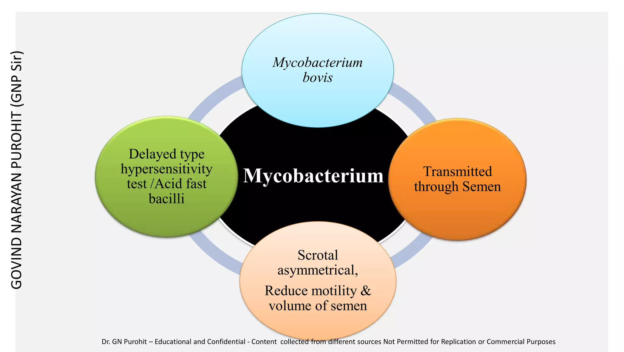 Mycobacterium
Mycobacterium
bovis
Transmitted
through Semen
Scrotal
asymmetrical,
Reduce motility &
volume of semen
Delayed type
hypersensitivity
test /Acid fast
bacilli
GOVIND
NARAYAN
PUROHIT
(GNP
Sir)
Dr. GN Purohit – Educational and Confidential - Content collected from different sources Not Permitted for Replication or Commercial Purposes
 