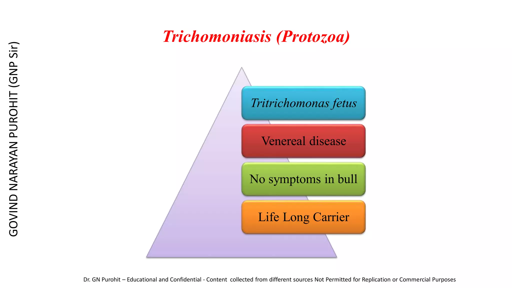 Trichomoniasis (Protozoa)
Tritrichomonas fetus
Venereal disease
No symptoms in bull
Life Long Carrier
GOVIND
NARAYAN
PUROHIT
(GNP
Sir)
Dr. GN Purohit – Educational and Confidential - Content collected from different sources Not Permitted for Replication or Commercial Purposes
 