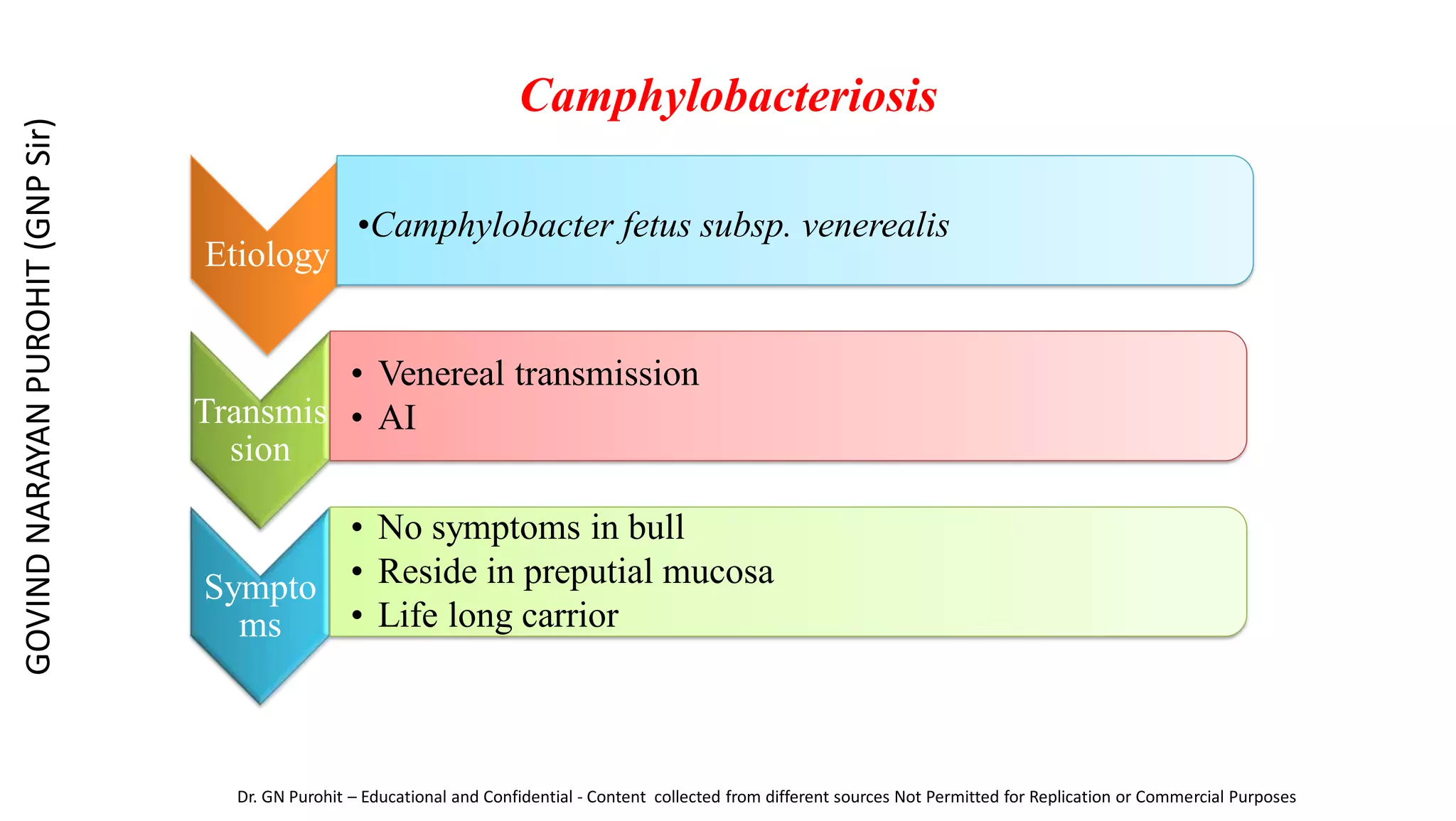 Camphylobacteriosis
Etiology
•Camphylobacter fetus subsp. venerealis
Transmis
sion
• Venereal transmission
• AI
Sympto
ms
• No symptoms in bull
• Reside in preputial mucosa
• Life long carrior
GOVIND
NARAYAN
PUROHIT
(GNP
Sir)
Dr. GN Purohit – Educational and Confidential - Content collected from different sources Not Permitted for Replication or Commercial Purposes
 
