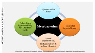 Mycobacterium
Mycobacterium
bovis
Transmitted
through Semen
Scrotal
asymmetrical,
Reduce motility &
volume of semen
Delayed type
hypersensitivity
test /Acid fast
bacilli
GOVIND
NARAYAN
PUROHIT
(GNP
Sir)
Dr. GN Purohit – Educational and Confidential - Content collected from different sources Not Permitted for Replication or Commercial Purposes
 