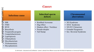 Causes
Infectious cause
• IBR
• FMD
• BVD
• Brucellosis
• Trueperalla pyogens
• Campylobacteriosis
• Leptospirosis
• Chlamydiosis
• Mycobacterium
• Trichomoniasis
• Mycoplasmosis
Inherited sperm
defects
• Knobbed Acrosome
• Dag Effect
• Diadem effect / Necklace
• Pseudo-droplet
• Tail Stump
Chromosomal
aberrations
• XO Syndrome
• XXX Syndrome
• XX/XY Chimerism
• Gonadal Dysgenesis
• Sex Reversal Syndrome
GOVIND
NARAYAN
PUROHIT
(GNP
Sir)
Dr. GN Purohit – Educational and Confidential - Content collected from different sources Not Permitted for Replication or Commercial Purposes
 