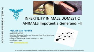 INFERTILITY IN MALE DOMESTIC
ANIMALS Impotentia Generandi -II
Prof. Dr. G.N Purohit
MVSC, PhD, MNVAS
Dean Post Graduate Studies and University Head Dept. Veterinary
(Gynecology & Obstetrics)
College of veterinary & Animal Science, RAJUVAS
Bikaner, Raj., India.
Email: gnpobs@gmail.com
Dr. GN Purohit – Educational and Confidential - Content collected from different sources Not Permitted for Replication or Commercial Purposes
GOVIND
NARAYAN
PUROHIT
(GNP
Sir)
 