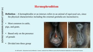 Hermophroditism
Definition : A hermaphrodite or an intersex refers to an animal of equivocal sex, since
the physical characteristics including the external genitalia are inconclusive.
• Most common in cattle,
pigs, and goats.
• Based only on the presence
of gonads
• Divided into three group
GOVIND
NARAYAN
PUROHIT
(GNP
Sir)
Dr. GN Purohit – Educational and Confidential - Content collected from different sources Not Permitted for Replication or Commercial Purposes
 