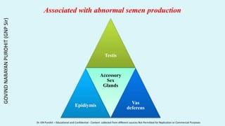 Associated with abnormal semen production
Testis
Epidiymis
Accessory
Sex
Glands
Vas
deferens
GOVIND
NARAYAN
PUROHIT
(GNP
Sir)
Dr. GN Purohit – Educational and Confidential - Content collected from different sources Not Permitted for Replication or Commercial Purposes
 