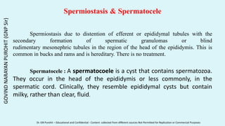 Spermiostasis & Spermatocele
Spermiostasis due to distention of efferent or epididymal tubules with the
secondary formation of spermatic granulomas or blind
rudimentary mesonephric tubules in the region of the head of the epididymis. This is
common in bucks and rams and is hereditary. There is no treatment.
Spermatocele : A spermatocoele is a cyst that contains spermatozoa.
They occur in the head of the epididymis or less commonly, in the
spermatic cord. Clinically, they resemble epididymal cysts but contain
milky, rather than clear, fluid.
GOVIND
NARAYAN
PUROHIT
(GNP
Sir)
Dr. GN Purohit – Educational and Confidential - Content collected from different sources Not Permitted for Replication or Commercial Purposes
 