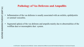 Pathology of Vas Deferens and Ampullits
• Inflammation of the vas deferens is usually associated with an orchitis, epididymitis
or seminal vesiculitis.
• Segmental aplasia of the vas deferens and ampulla mainly due to abnormalities of the
wolffian duct or mesonephric duct system.
GOVIND
NARAYAN
PUROHIT
(GNP
Sir)
Dr. GN Purohit – Educational and Confidential - Content collected from different sources Not Permitted for Replication or Commercial Purposes
 
