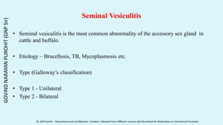 Seminal Vesiculitis
• Seminal vesiculitis is the most common abnormality of the accessory sex gland in
cattle and buffalo.
• Etiology – Brucellosis, TB, Mycoplasmosis etc.
• Type (Galloway’s classification)
• Type 1 - Unilateral
• Type 2 - Bilateral
GOVIND
NARAYAN
PUROHIT
(GNP
Sir)
Dr. GN Purohit – Educational and Confidential - Content collected from different sources Not Permitted for Replication or Commercial Purposes
 